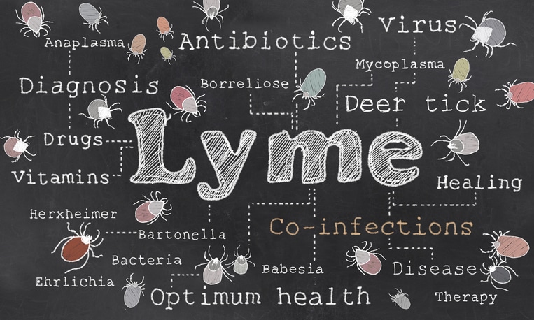 Lyme