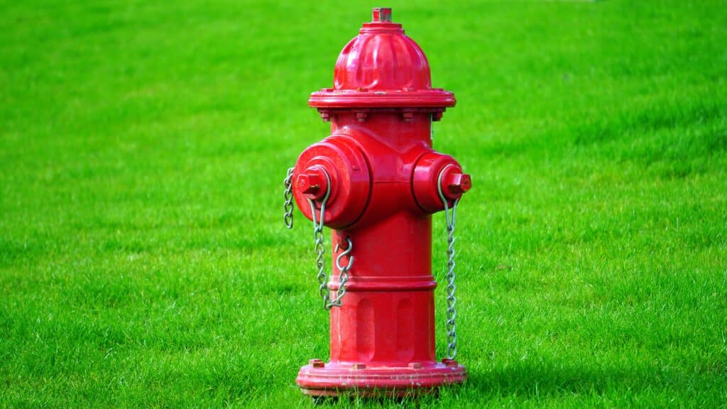 Hydrants Impede FDNY